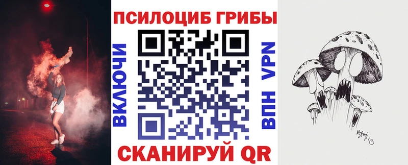 Галлюциногенные грибы Psilocybe  Горно-Алтайск 