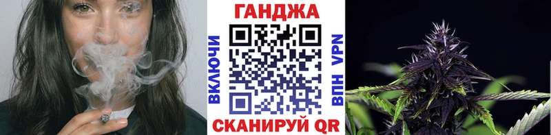 Конопля сатива  Горно-Алтайск 